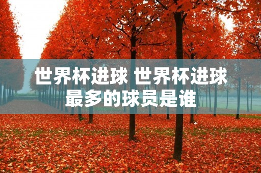 世界杯进球 世界杯进球最多的球员是谁 世界杯进球 世界杯进球最多的球员是谁