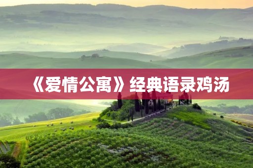 《爱情公寓》经典语录鸡汤:穿越时光的感动与启示