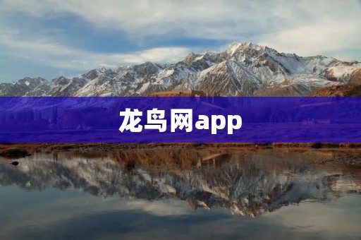 龙鸟网app：打造全方位的健身社交平台