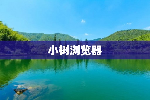 小树浏览器：一款轻巧高效的网络浏览器