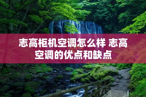 志高柜机空调怎么样 志高空调的优点和缺点