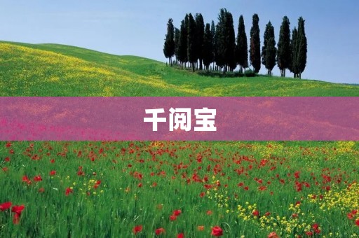 千阅宝:助力作家实现千万阅读量的神奇工具 千阅宝:助力作家实现千万阅读量的神奇工具
