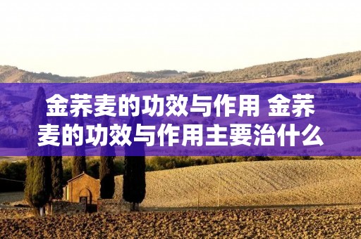 金荞麦的功效与作用 金荞麦的功效与作用主要治什么病