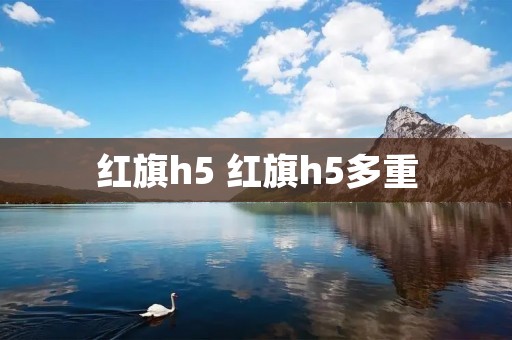 红旗h5 红旗h5多重