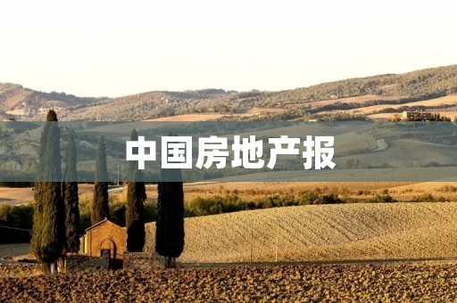 中国房地产报：深度解析中国房地产市场的动态与趋势