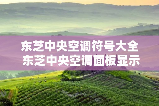 东芝中央空调符号大全 东芝中央空调面板显示图案详解