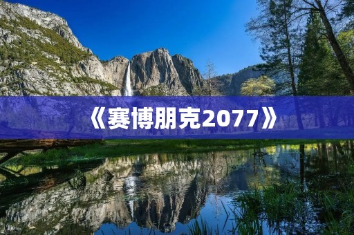 《赛博朋克2077》:一场未来世界的黑暗奇幻之旅
