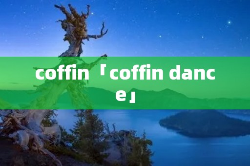 coffin「coffin dance」