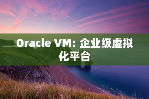Oracle VM: 企业级虚拟化平台