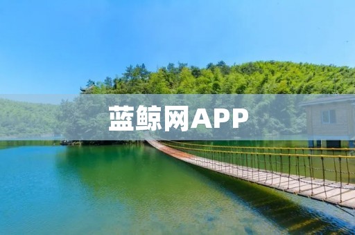 蓝鲸网APP:一站式综合信息平台助你畅游互联网世界 蓝鲸网APP:一站式综合信息平台助你畅游互联网世界