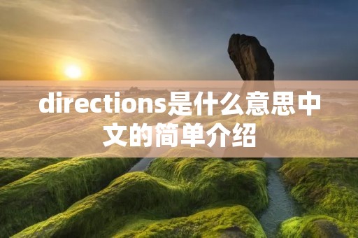 directions是什么意思中文的简单介绍