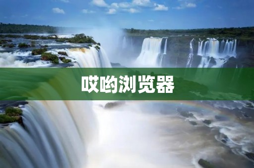 哎哟浏览器:一款优秀的网页浏览器 哎哟浏览器:一款优秀的网页浏览器