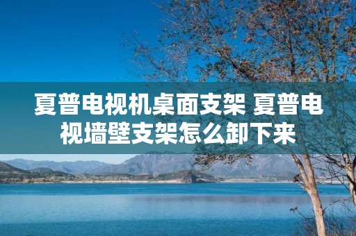 夏普电视机桌面支架 夏普电视墙壁支架怎么卸下来 夏普电视机桌面支架 夏普电视墙壁支架怎么卸下来