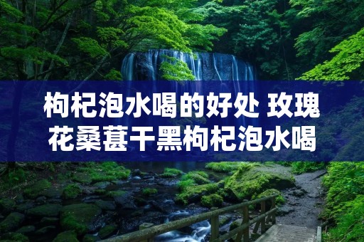 枸杞泡水喝的好处 玫瑰花桑葚干黑枸杞泡水喝的好处