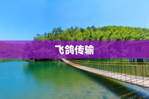 飞鸽传输:快速、稳定的文件传输方式 飞鸽传输:快速、稳定的文件传输方式