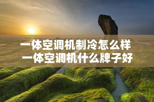 一体空调机制冷怎么样 一体空调机什么牌子好 一体空调机制冷怎么样 一体空调机什么牌子好