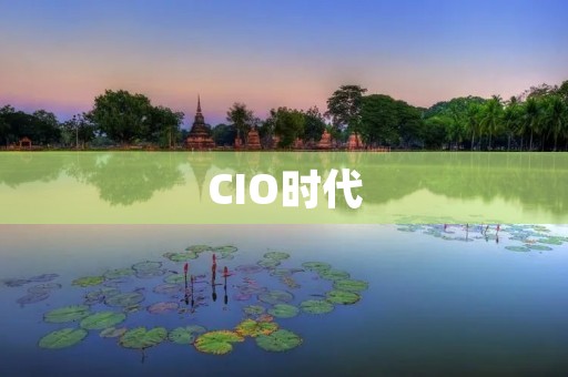 CIO时代：企业中的技术领导者
