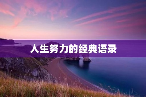 人生努力的经典语录:为梦想而奋斗