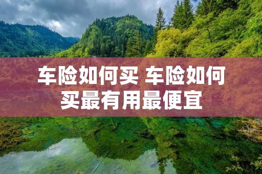 车险如何买 车险如何买最有用最便宜