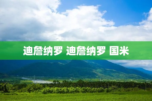 迪詹纳罗 迪詹纳罗 国米
