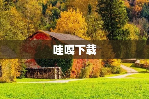 哇嘎下载：体验全新的社交娱乐平台