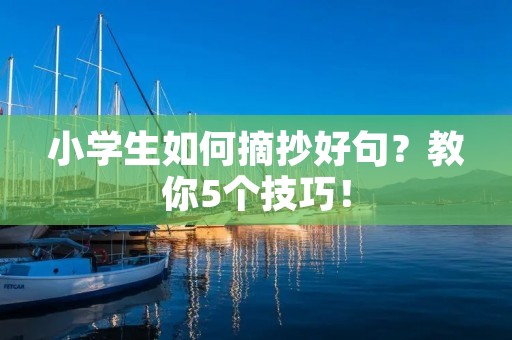 小学生如何摘抄好句？教你5个技巧！