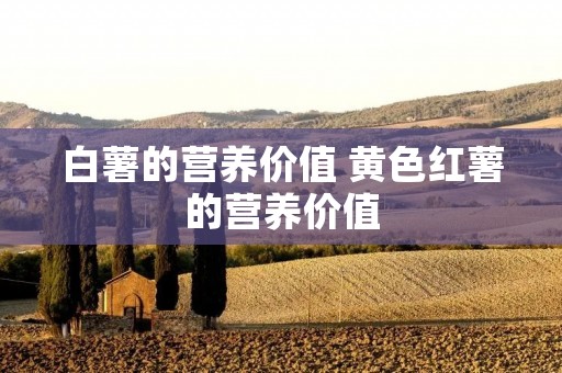 白薯的营养价值 黄色红薯的营养价值
