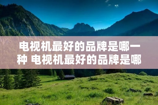 电视机最好的品牌是哪一种 电视机最好的品牌是哪一种牌子