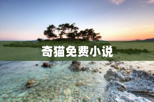 奇猫免费小说:独一无二的阅读体验 奇猫免费小说:独一无二的阅读体验