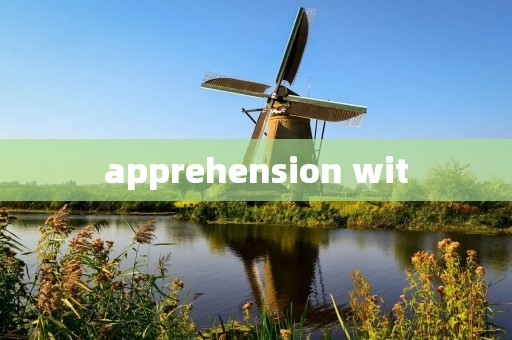 apprehension wit apprehension wit