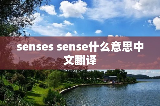 senses sense什么意思中文翻译