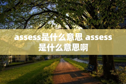 assess是什么意思 assess是什么意思啊