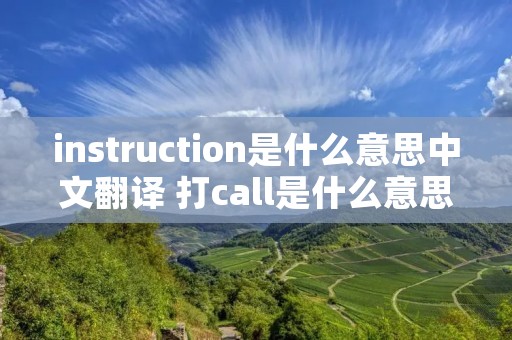 instruction是什么意思中文翻译 打call是什么意思中文翻译