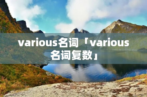 various名词「various名词复数」