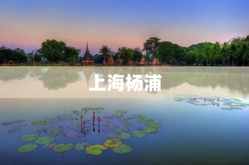 上海杨浦：繁华与文化交汇的城市瑰宝