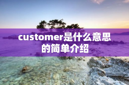 customer是什么意思的简单介绍 customer是什么意思的简单介绍