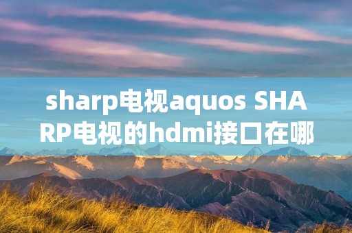 sharp电视aquos SHARP电视的hdmi接口在哪里