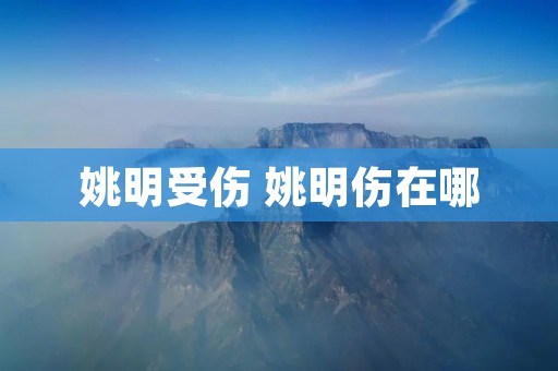 姚明受伤 姚明伤在哪