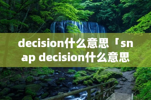 decision什么意思「snap decision什么意思」