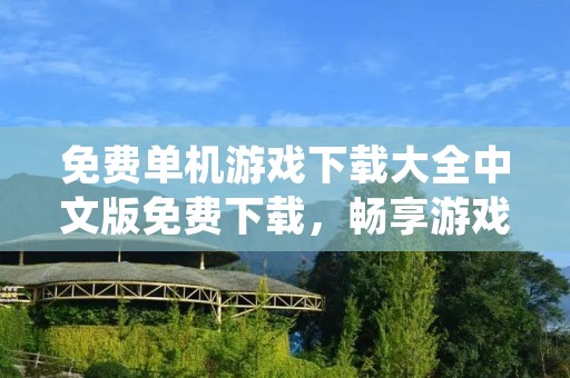 免费单机游戏下载大全中文版免费下载，畅享游戏快乐！