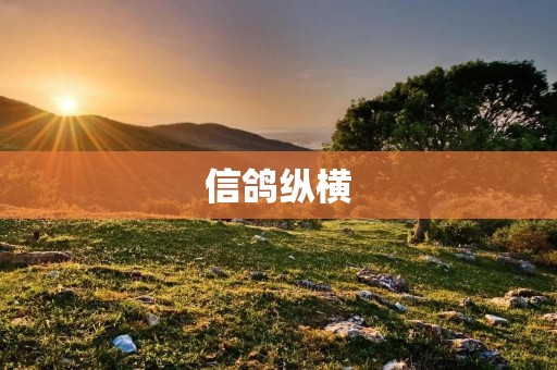信鸽纵横:传递信息的不朽传说 信鸽纵横:传递信息的不朽传说