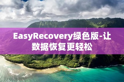 EasyRecovery绿色版-让数据恢复更轻松 EasyRecovery绿色版-让数据恢复更轻松