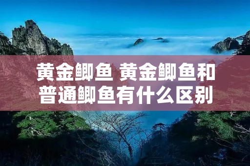 黄金鲫鱼 黄金鲫鱼和普通鲫鱼有什么区别