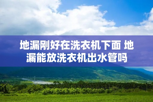 地漏刚好在洗衣机下面 地漏能放洗衣机出水管吗 地漏刚好在洗衣机下面 地漏能放洗衣机出水管吗