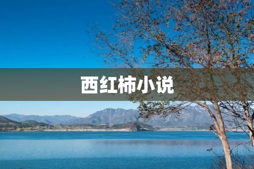 西红柿小说:一场纷争与爱情的交织 西红柿小说:一场纷争与爱情的交织