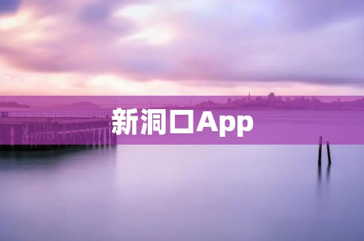 新洞口App:智能管家,为您打造便捷生活 新洞口App:智能管家,为您打造便捷生活