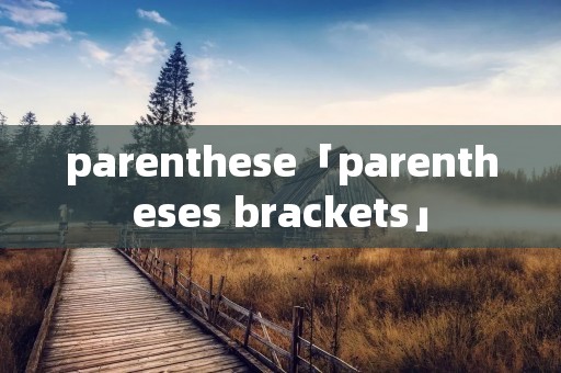 parenthese「parentheses brackets」