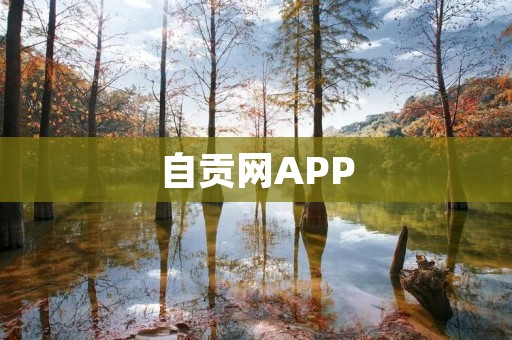 自贡网APP：打造智慧生活，畅享城市服务