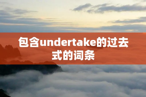 包含undertake的过去式的词条