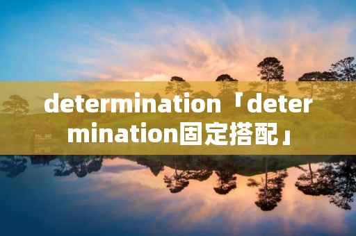 determination「determination固定搭配」
